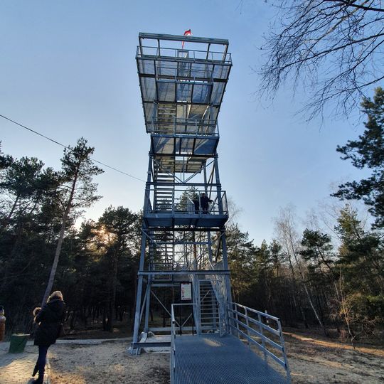 Skansen Battle Polish Army