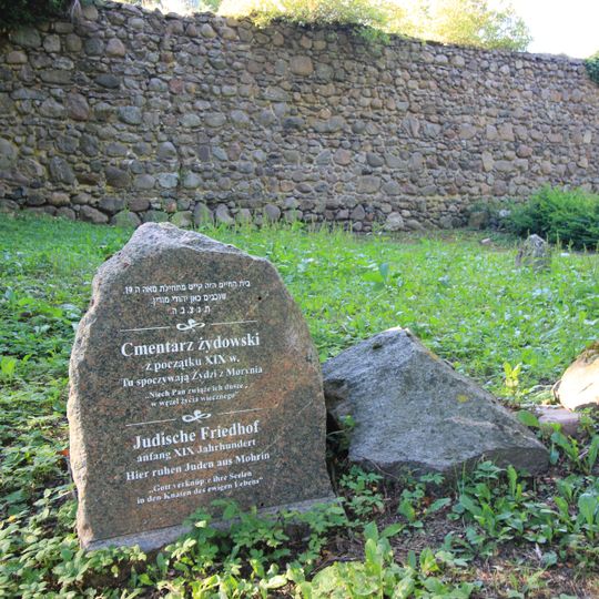 Cmentarz żydowski w Moryniu