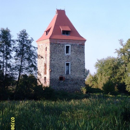 Dzietrzychowice Tower
