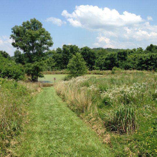 Young Conservation Area