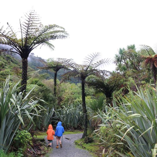 Paparoa Track