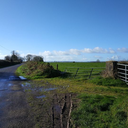 Steinreihe von Castlenalact