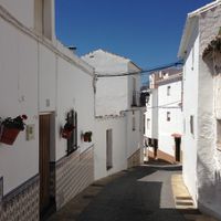 Alcaucín
