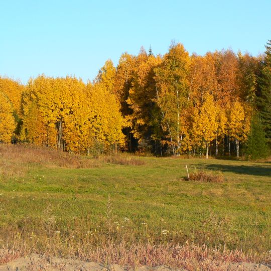 Nižneingašskij rajon