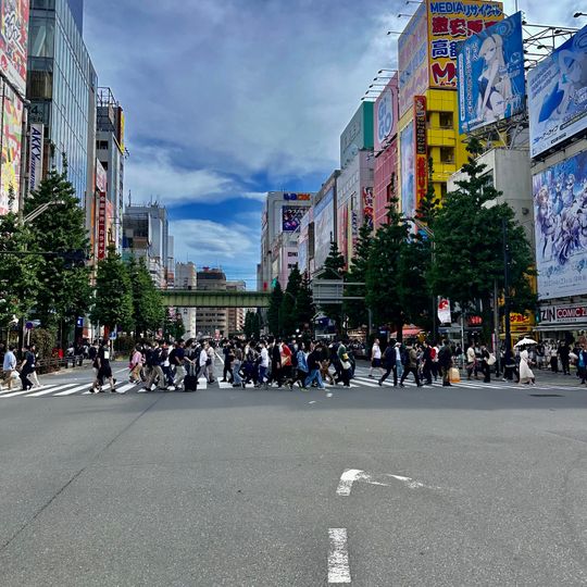 Tsukada Nojo Akihabara Chuo Dori