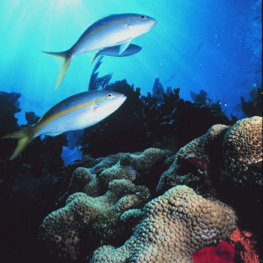 Florida Keys National Marine Sanctuary