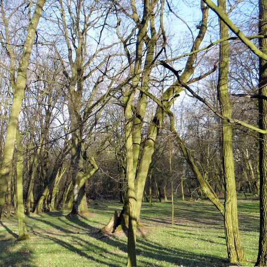 Manor park in Ślubowo