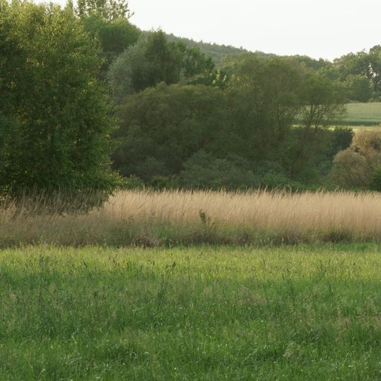 Schlämmteiche bei Geismar