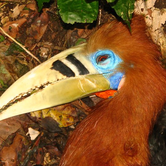 Mehao Wildlife Sanctuary