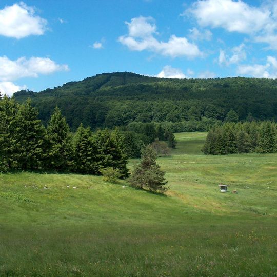 Uzana