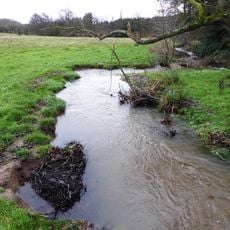 Lea Meadows
