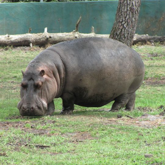 Zoo du Bassin d'Arcachon