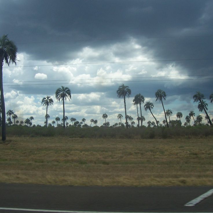 Nationaal Park El Palmar