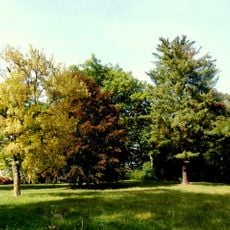 Kaštieľ rodiny Banó, park