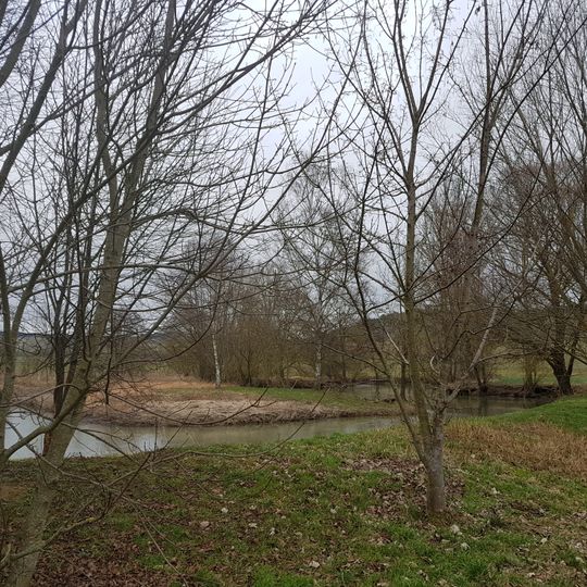 Naturdenkmal Taubermäander mit Ufergehölz Ried/Langen Grund/Mühlwörth