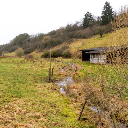 NSG Schleifbachtal suedwestlich Nettersheim