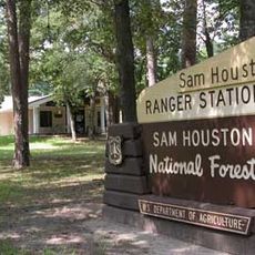Sam Houston National Forest