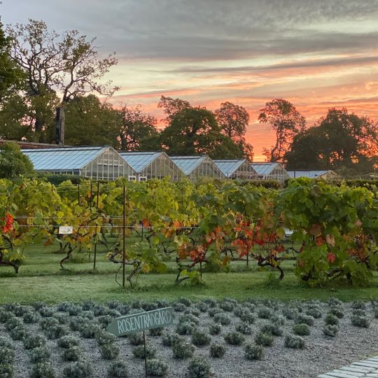 Rosendals Garden