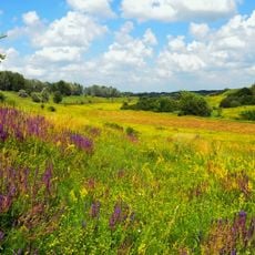 Батьки (заказник)