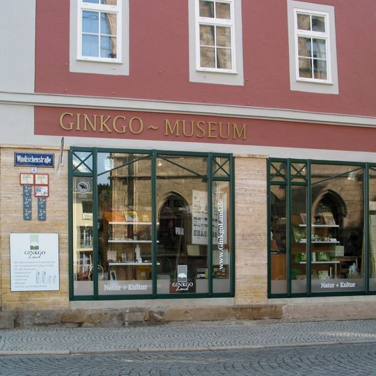 Ginkgo-Museum