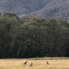 Murrurundi Pass CCA Zone 1 National Park