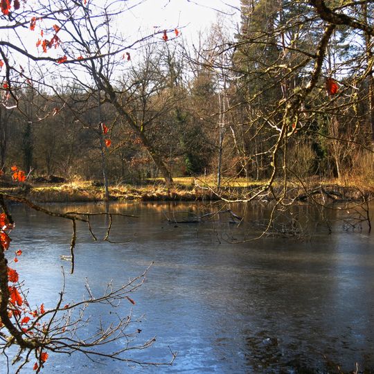 Eschheimer Weiher