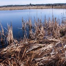Serpentine Wildlife Management Area