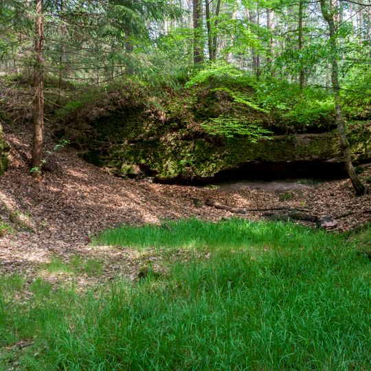Fürther und Zirndorfer Stadtwald