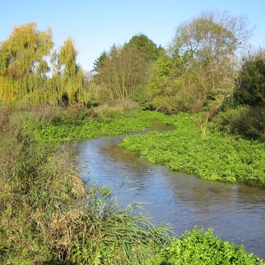 River Chess
