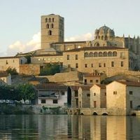 Zamora ili