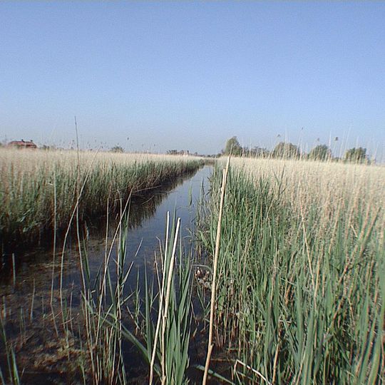 Marais audomarois
