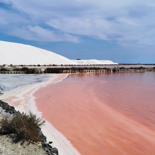 Le salin d’Aigues-Mortes