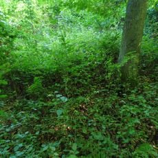 Westliches Hügelgraberfeld am Steinberg, Feldbach