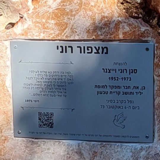 מצפה רוני