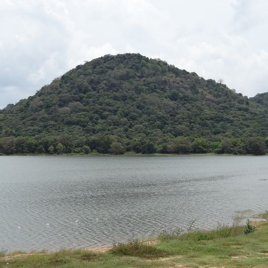 Minneriya tank