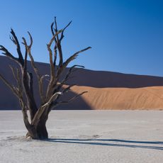 Deadvlei