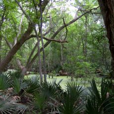 Palmetto State Park