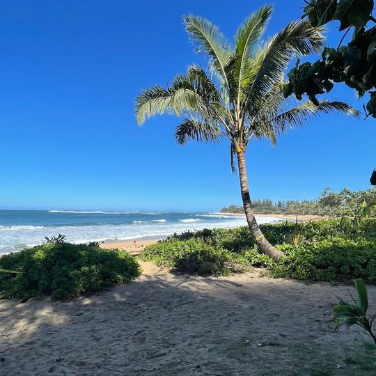 Ha'ena Beach