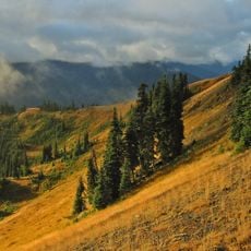 Olympic-Nationalpark