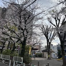 富ヶ谷公園