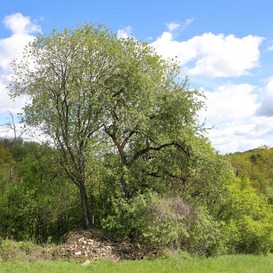 2 Steinkreuz Linden Neubronn Reckerstaler Straße