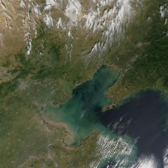 Bohai Bay