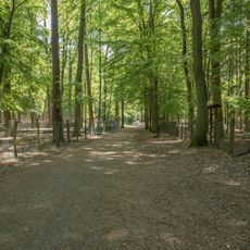 Tegeler Forst (nördl. Teil)