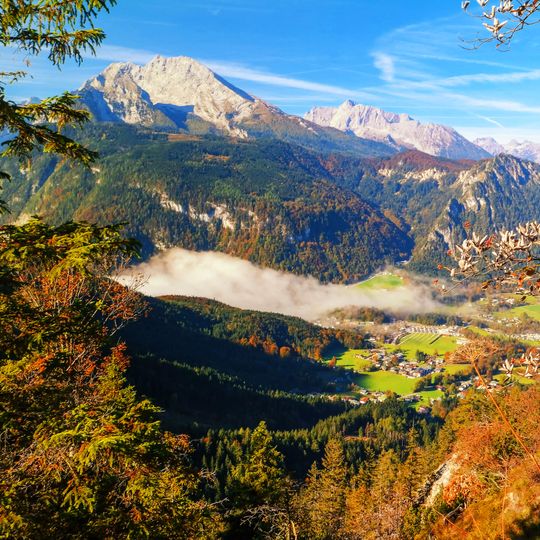 Alps conifer and mixed forests