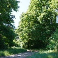 Dubovyi Hai, Lokhvytsia