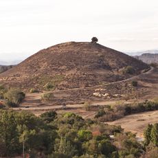 Tarantula Hill