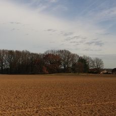 Düne Stahlberg I