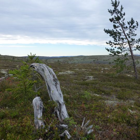 Parco nazionale di Fulufjellet