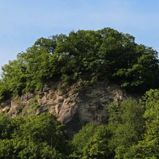 Naturwaldreservat Rainberg