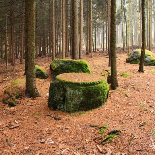 Opracovaný kámen u Bludova pod hradištěm